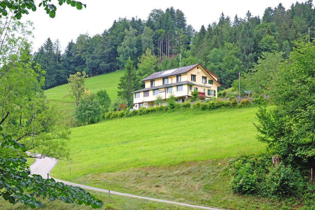 Sonnmatt Bergpension & Gesundheitszentrum Ebnat-Kappel Екстериор снимка